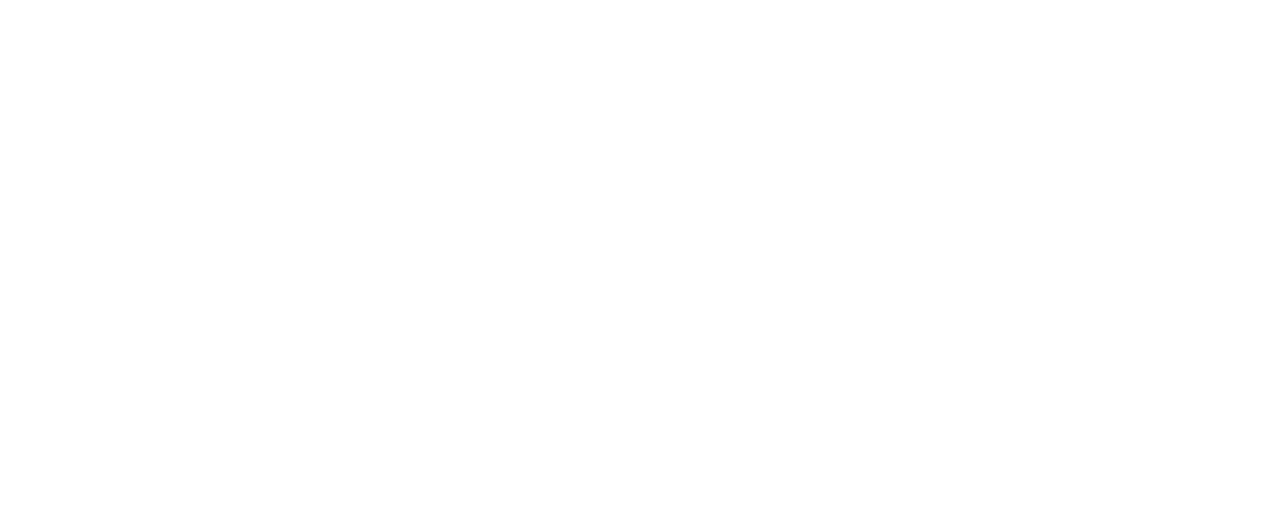 Bluefalcon Logo